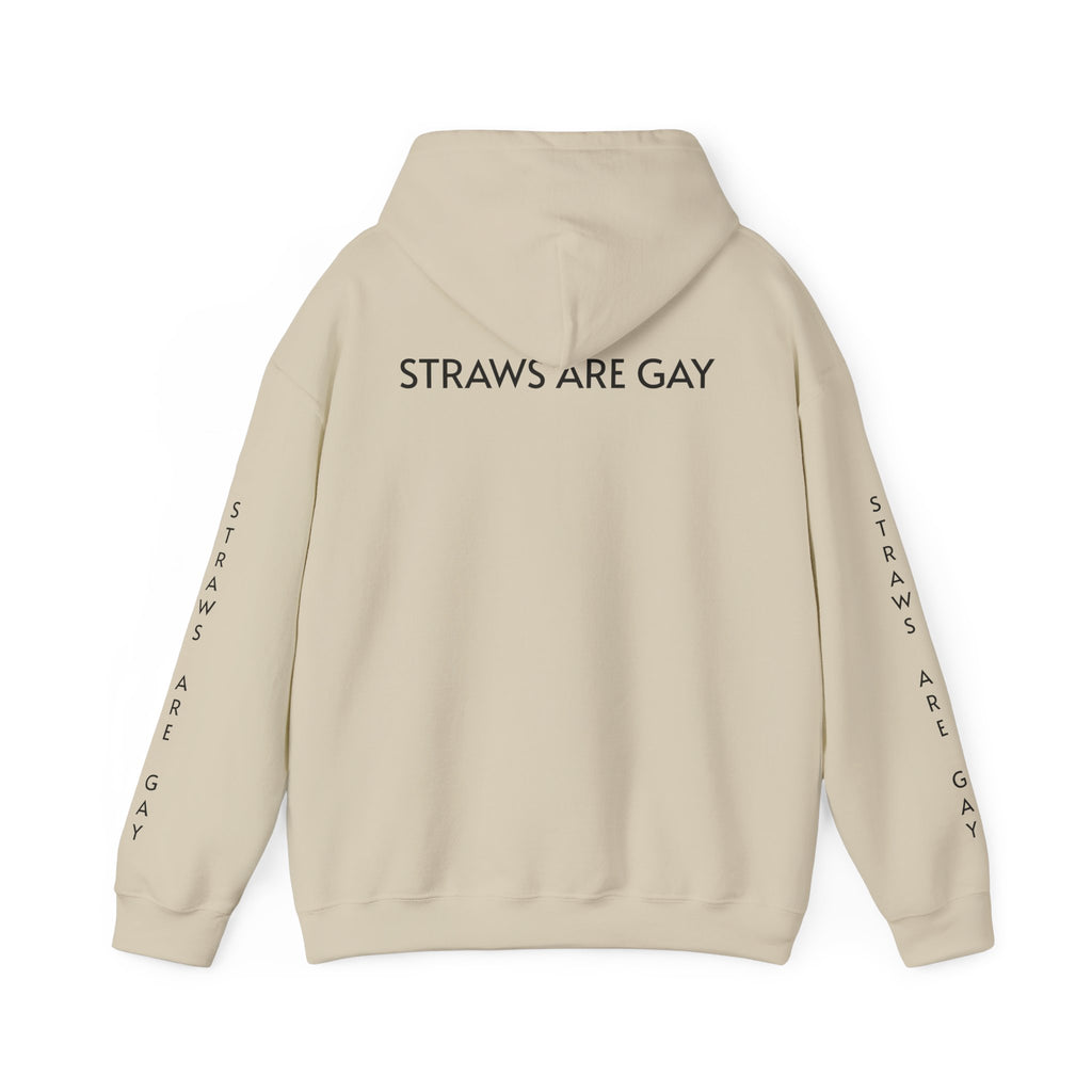 'Straws Are Gay' Hoodie —Statement Pullover