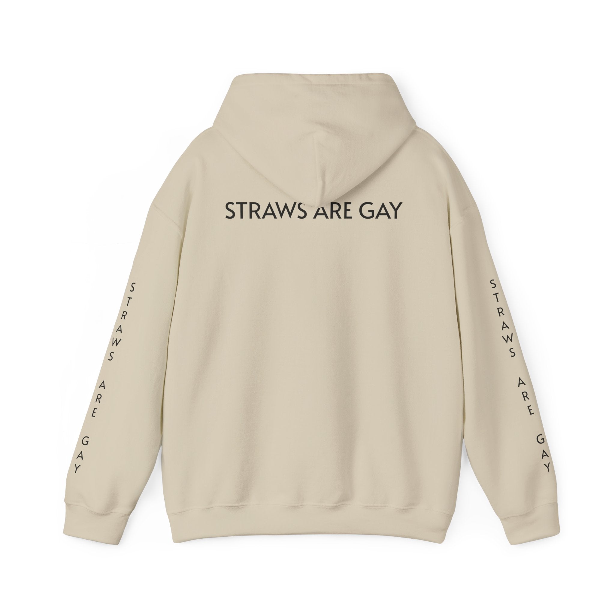 'Straws Are Gay' Hoodie —Statement Pullover