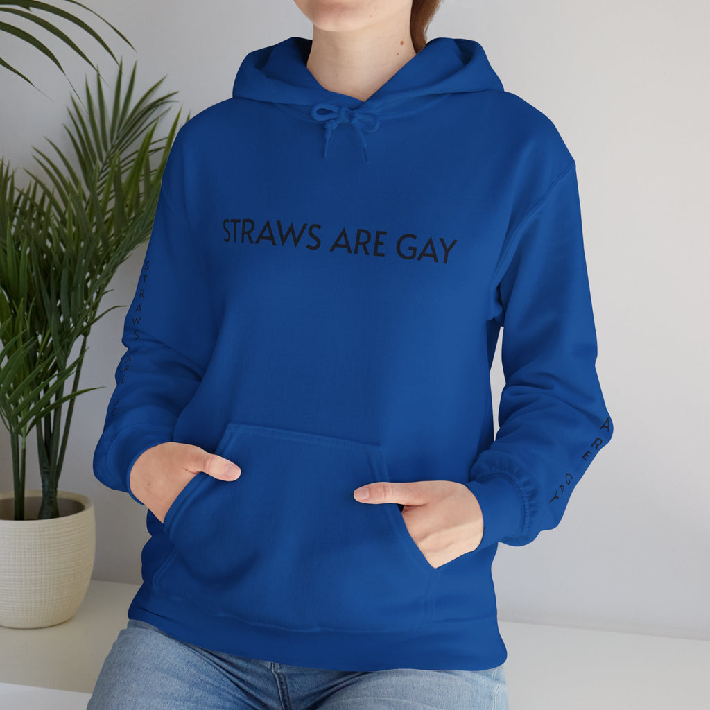 'Straws Are Gay' Hoodie —Statement Pullover