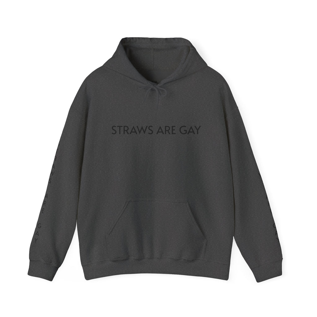 'Straws Are Gay' Hoodie —Statement Pullover