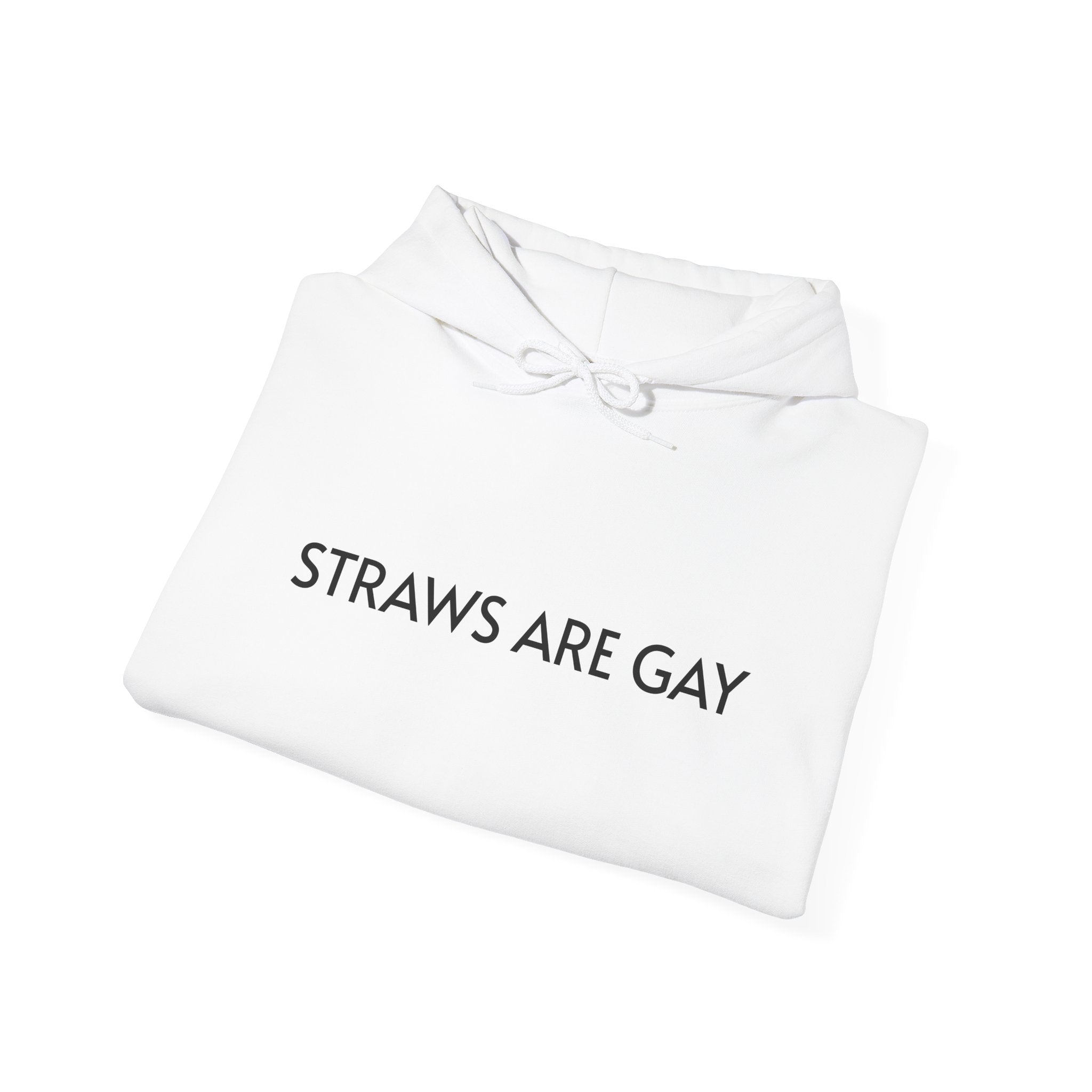 'Straws Are Gay' Hoodie —Statement Pullover