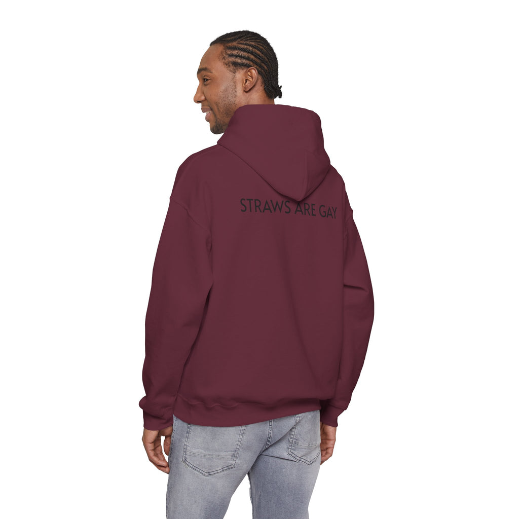 'Straws Are Gay' Hoodie —Statement Pullover