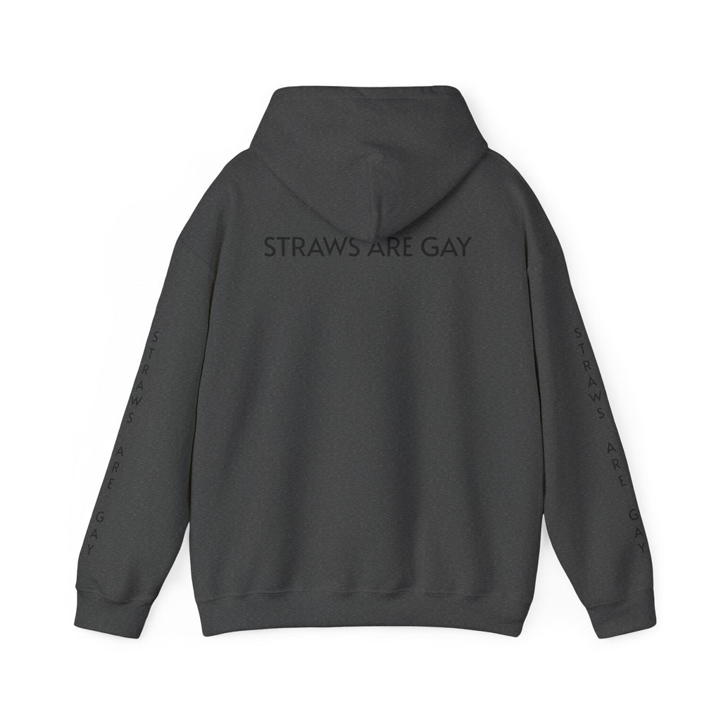 'Straws Are Gay' Hoodie —Statement Pullover
