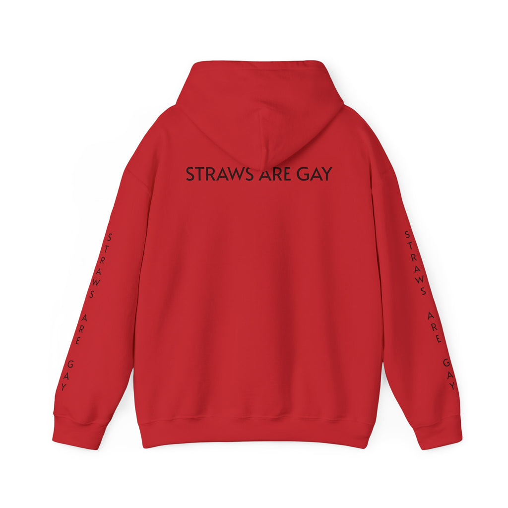'Straws Are Gay' Hoodie —Statement Pullover