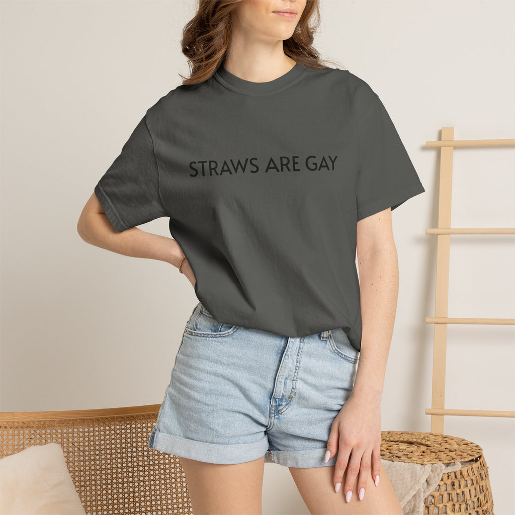 Straws Are Gay T-shirt