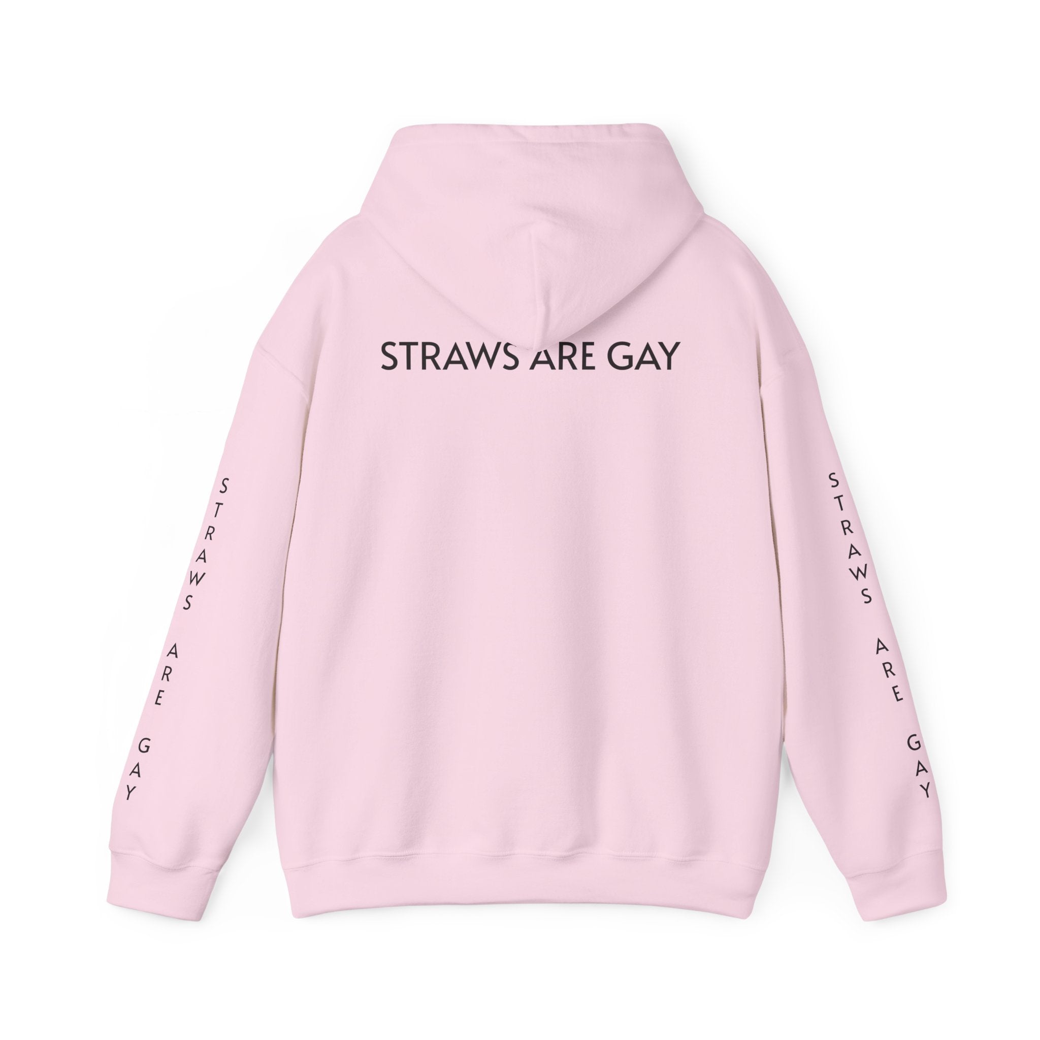 'Straws Are Gay' Hoodie —Statement Pullover