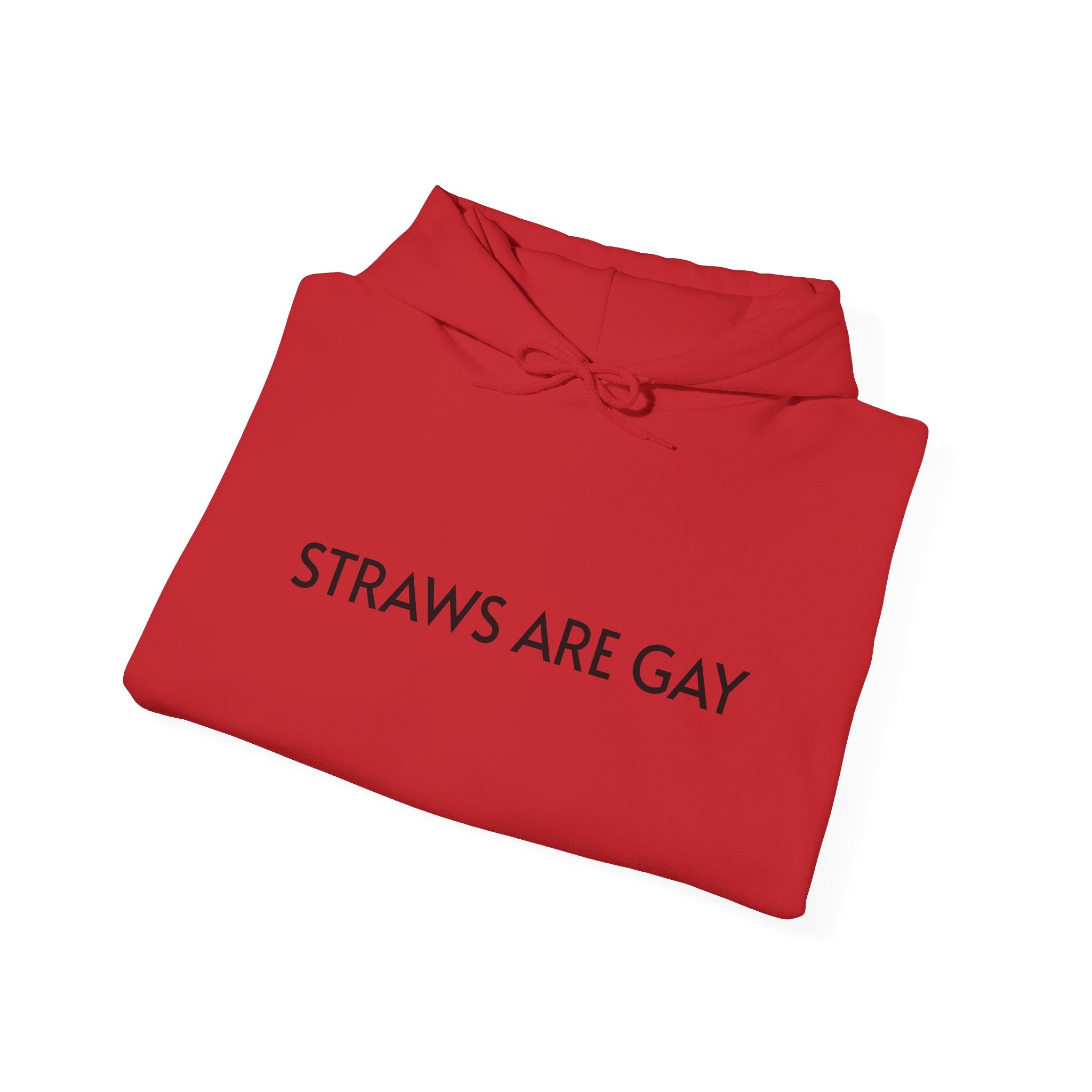 'Straws Are Gay' Hoodie —Statement Pullover