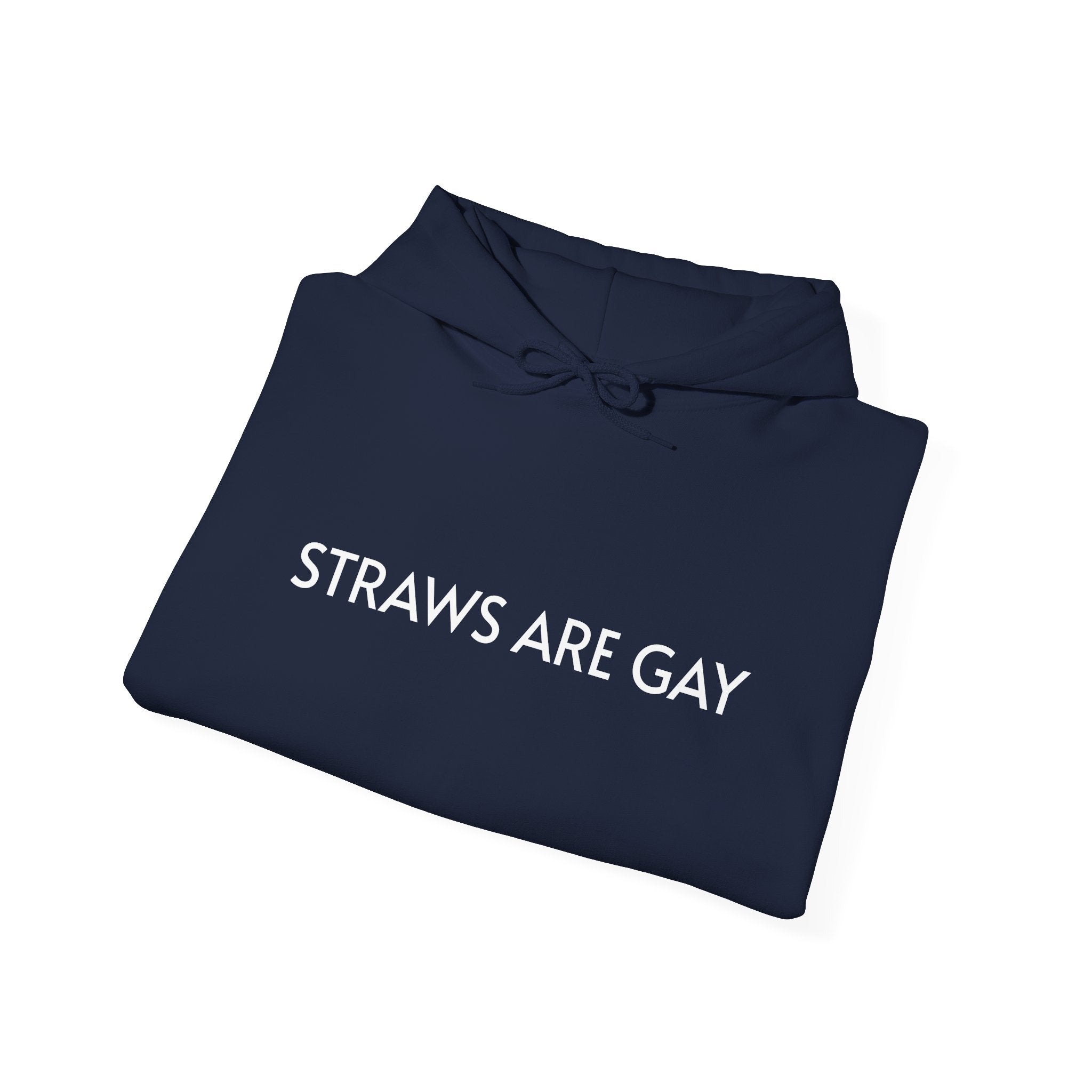'Straws Are Gay' Hoodie —Statement Pullover