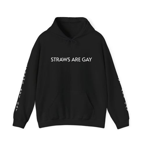 'Straws Are Gay' Hoodie —Statement Pullover