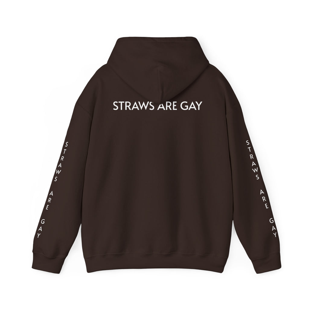 'Straws Are Gay' Hoodie —Statement Pullover