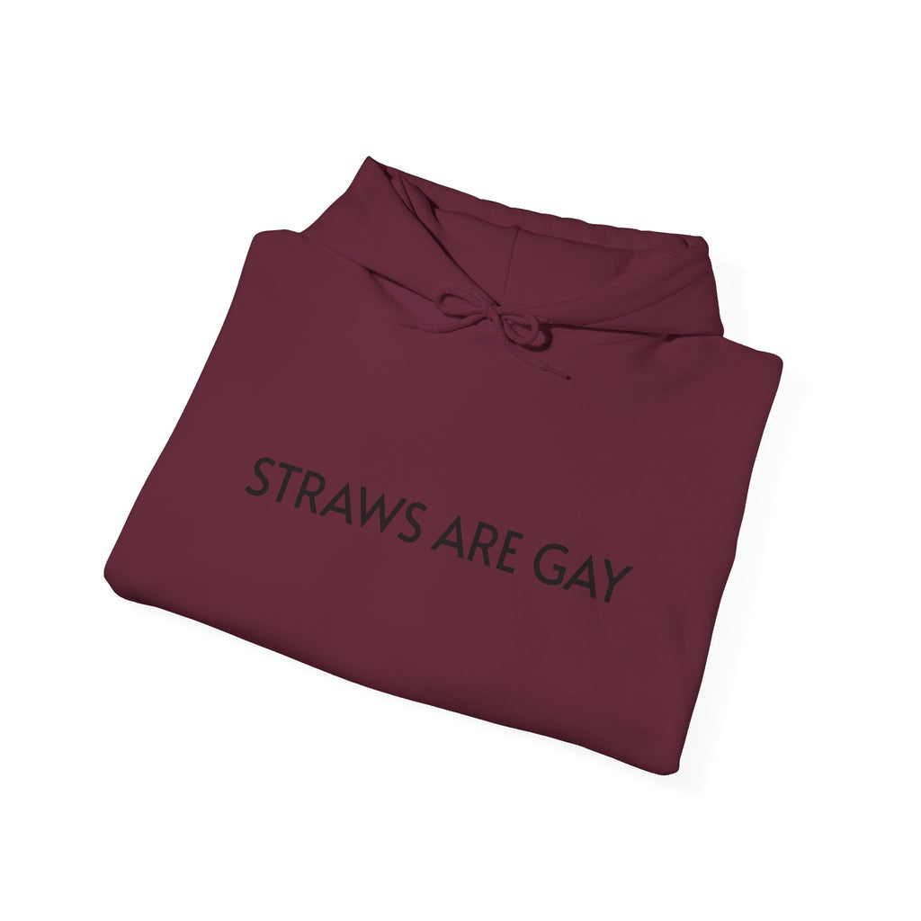 'Straws Are Gay' Hoodie —Statement Pullover