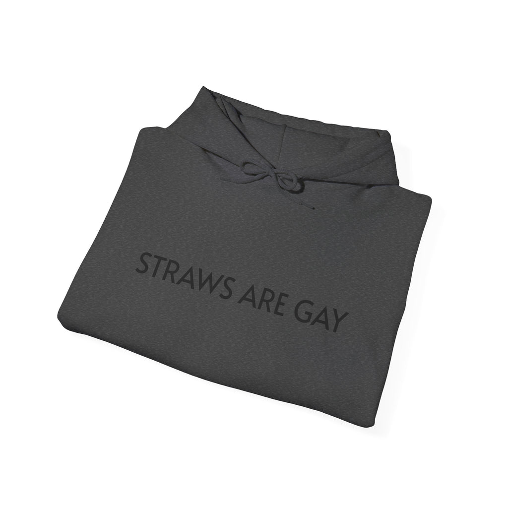 'Straws Are Gay' Hoodie —Statement Pullover