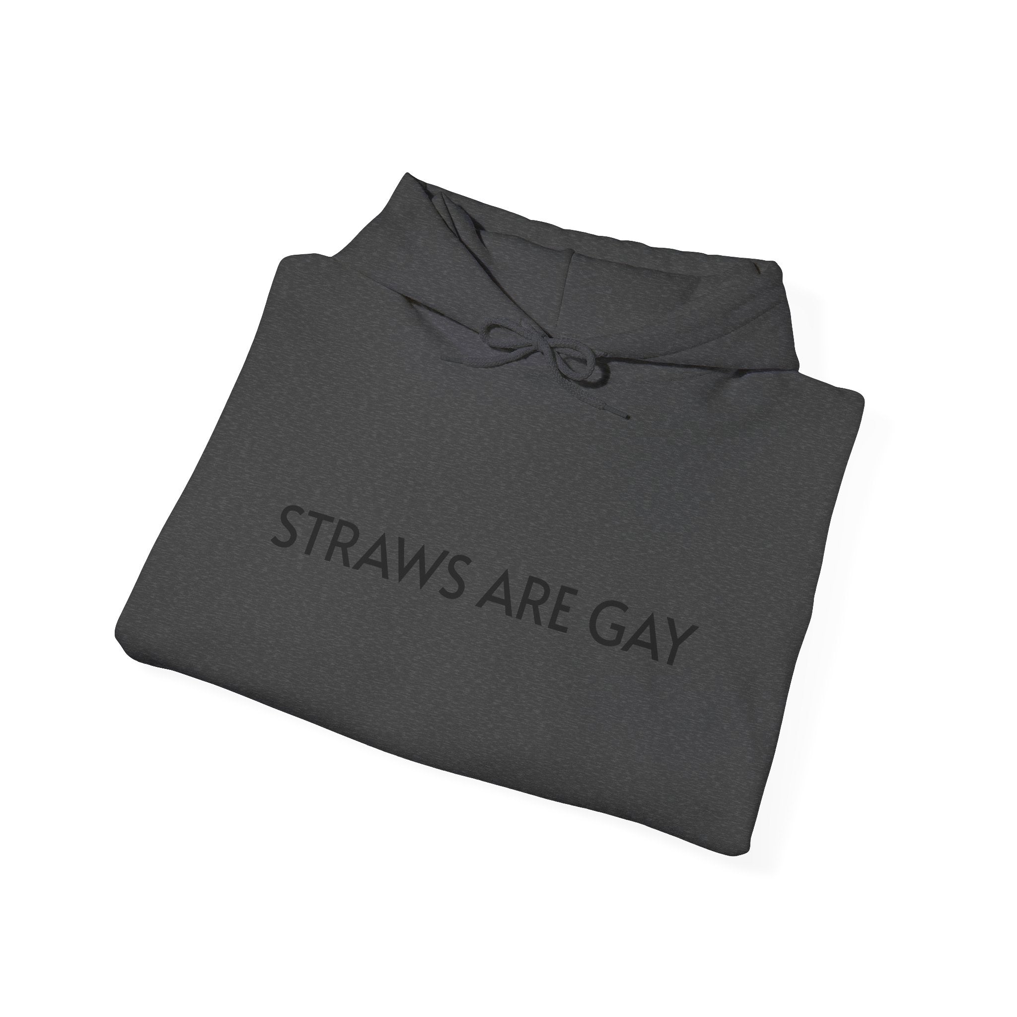 'Straws Are Gay' Hoodie —Statement Pullover