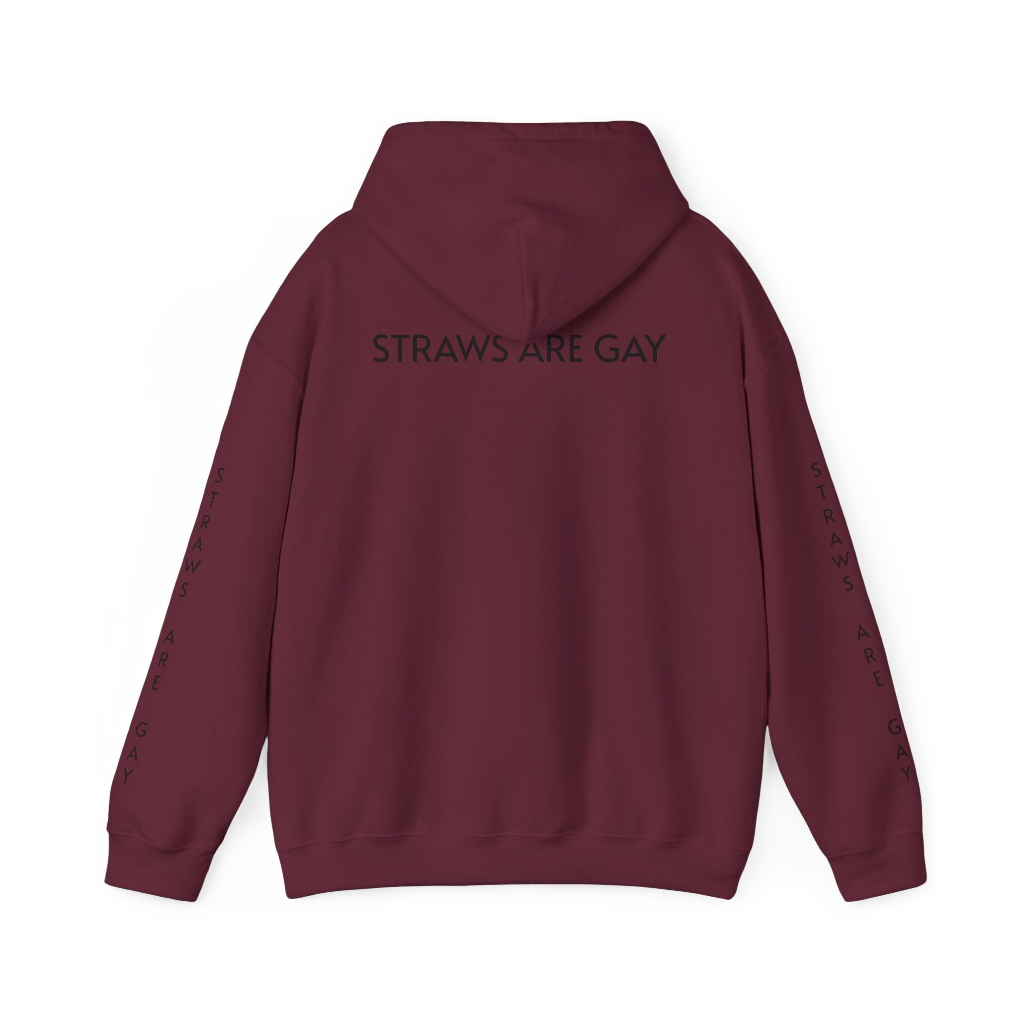 'Straws Are Gay' Hoodie —Statement Pullover