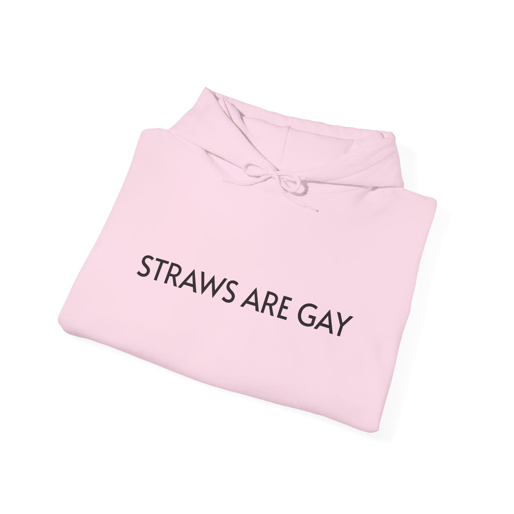 'Straws Are Gay' Hoodie —Statement Pullover