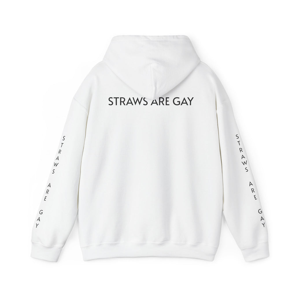 'Straws Are Gay' Hoodie —Statement Pullover