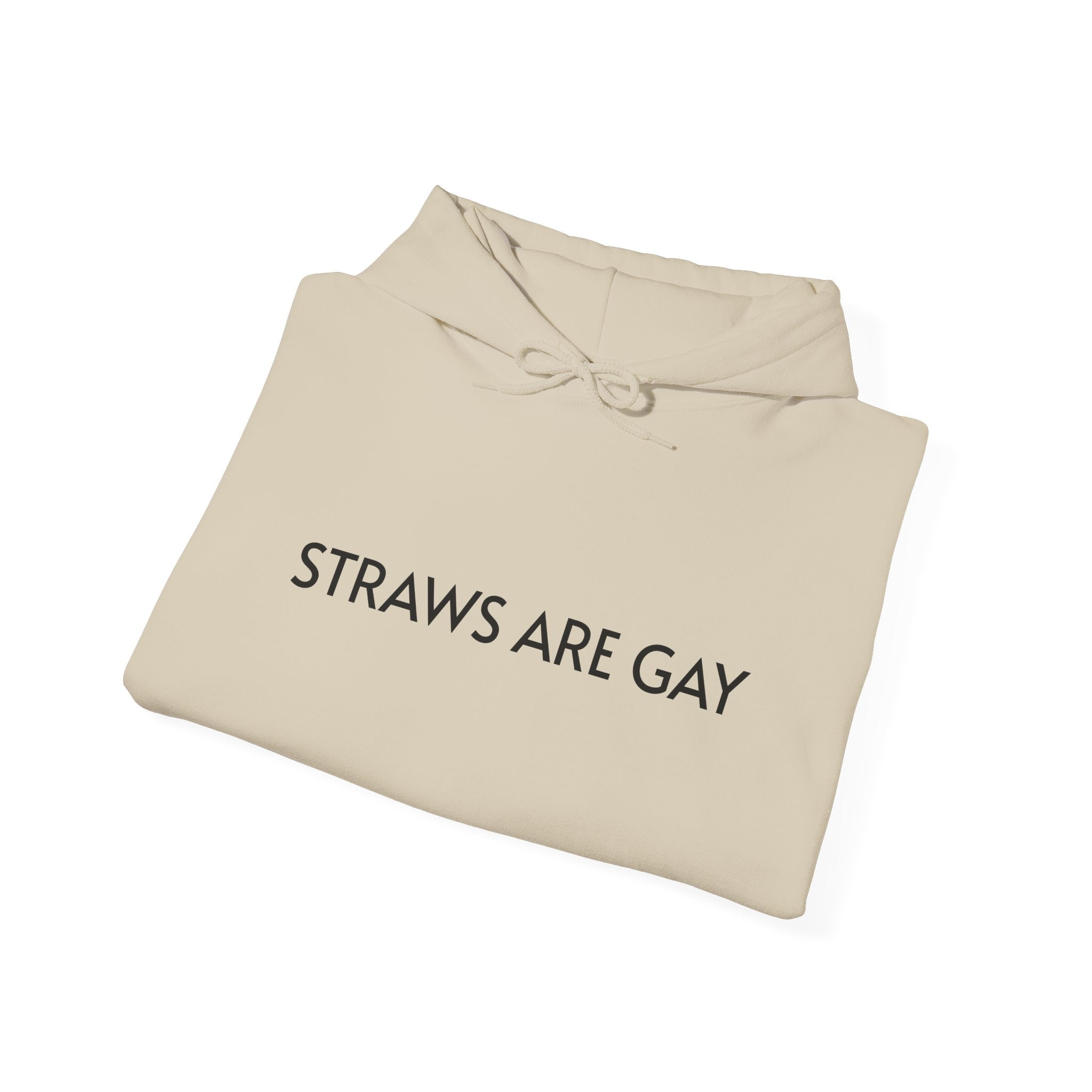 'Straws Are Gay' Hoodie —Statement Pullover