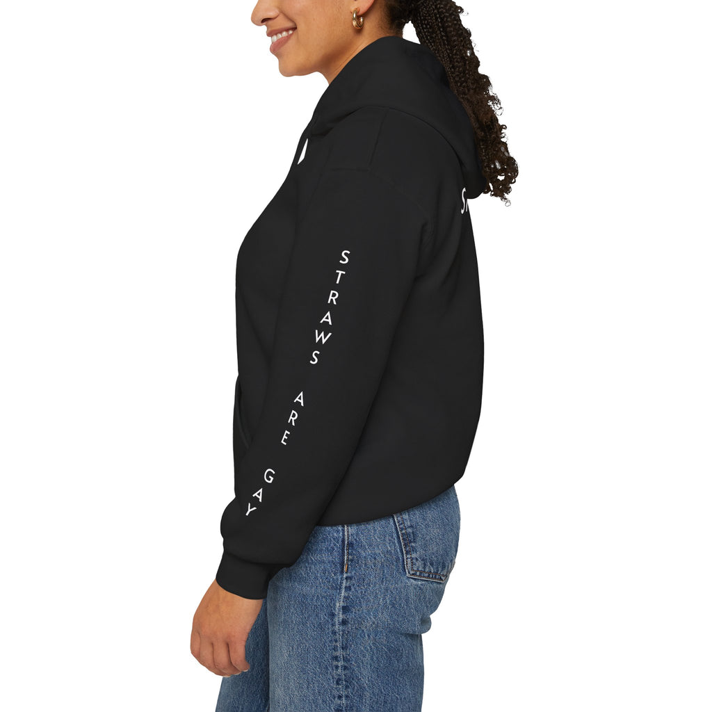 'Straws Are Gay' Hoodie —Statement Pullover