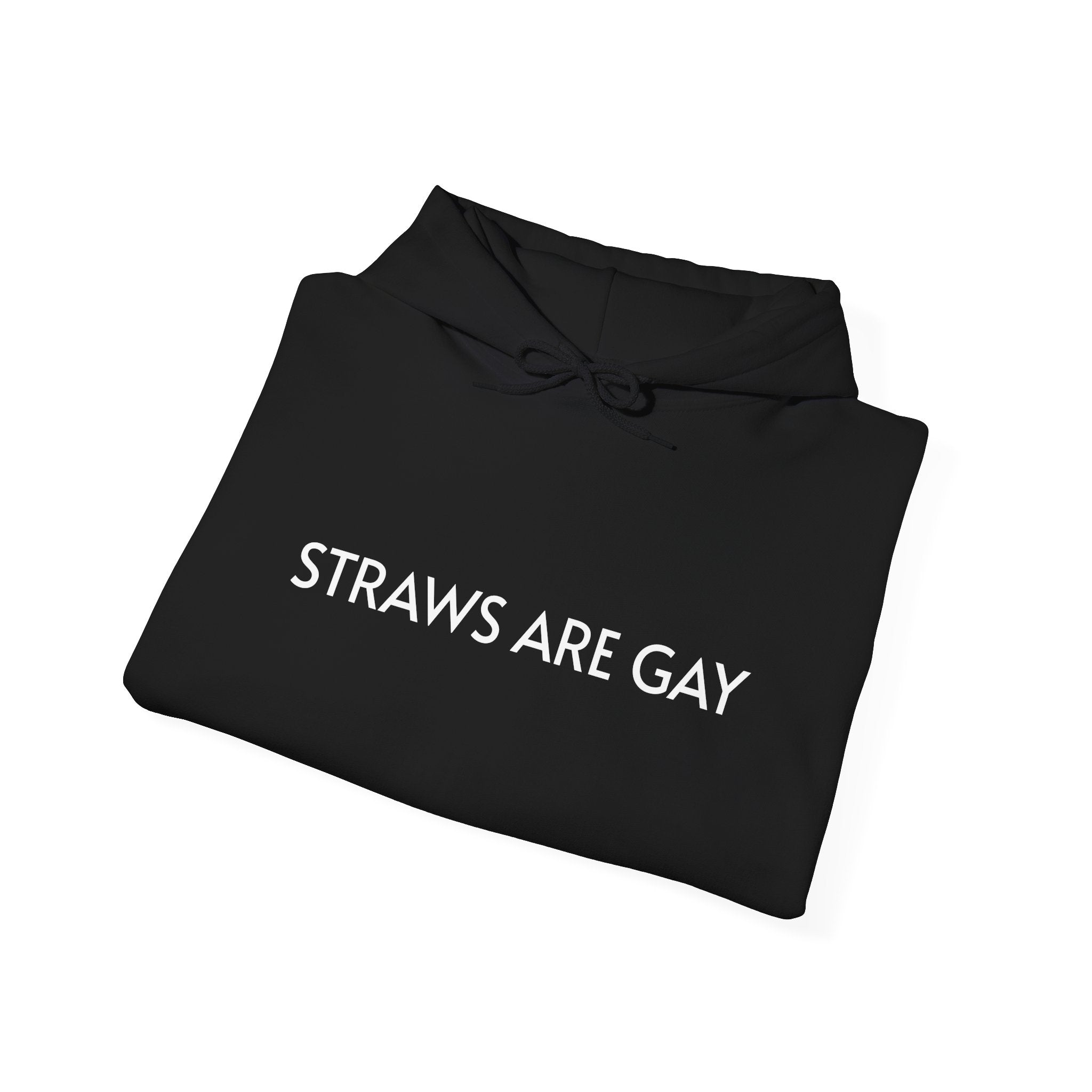 'Straws Are Gay' Hoodie —Statement Pullover