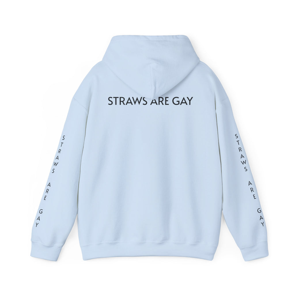 'Straws Are Gay' Hoodie —Statement Pullover