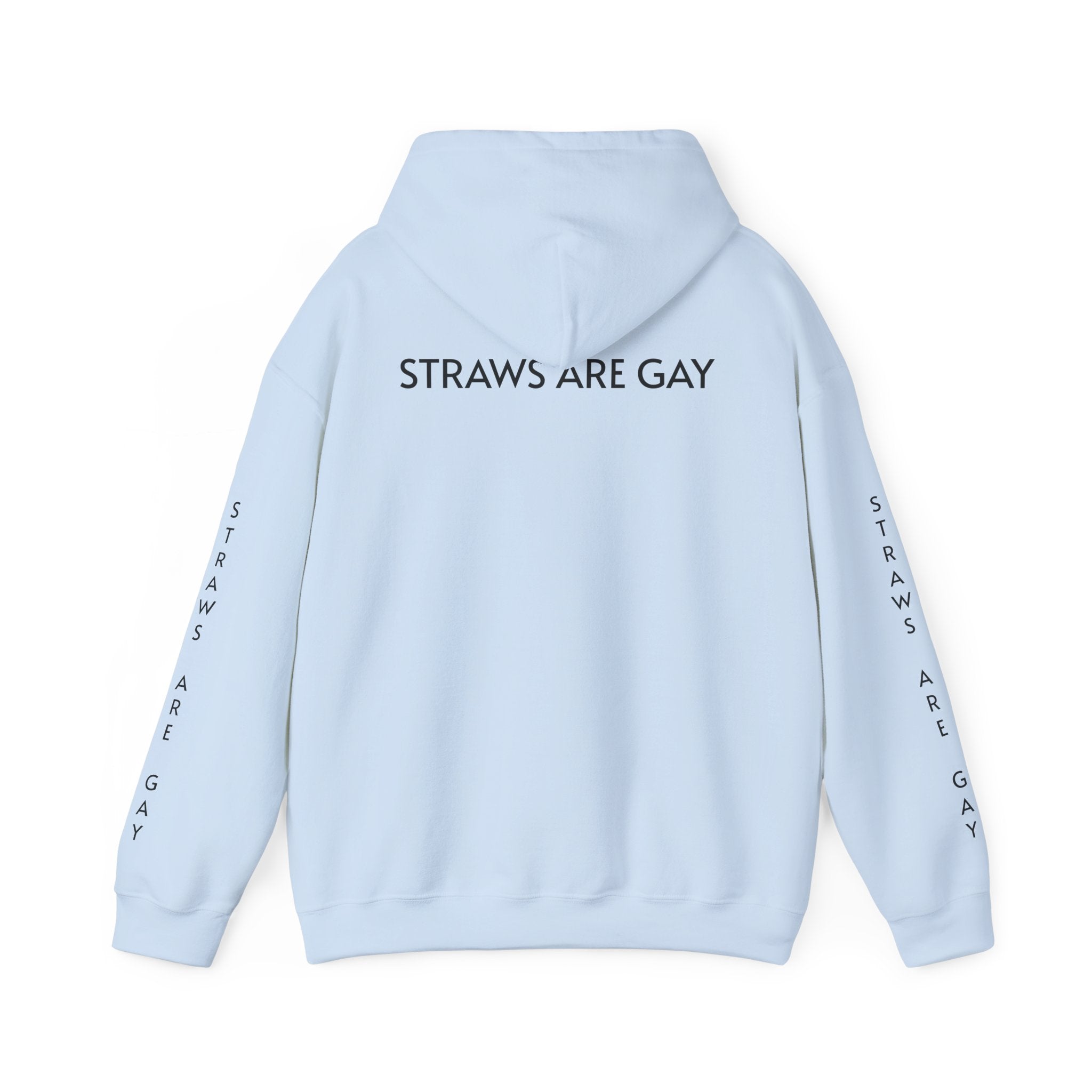 'Straws Are Gay' Hoodie —Statement Pullover