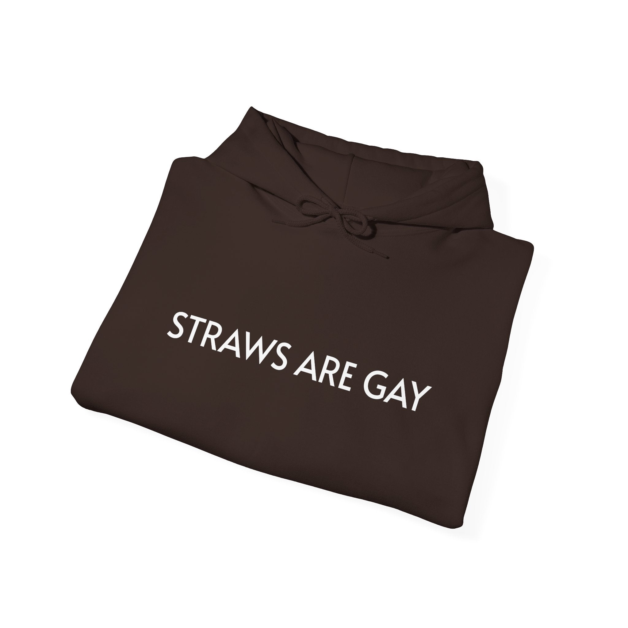 'Straws Are Gay' Hoodie —Statement Pullover