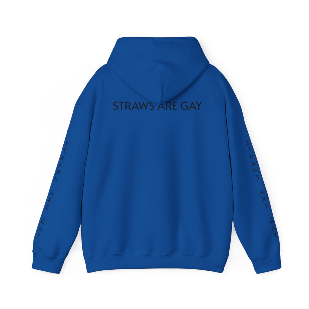 'Straws Are Gay' Hoodie —Statement Pullover