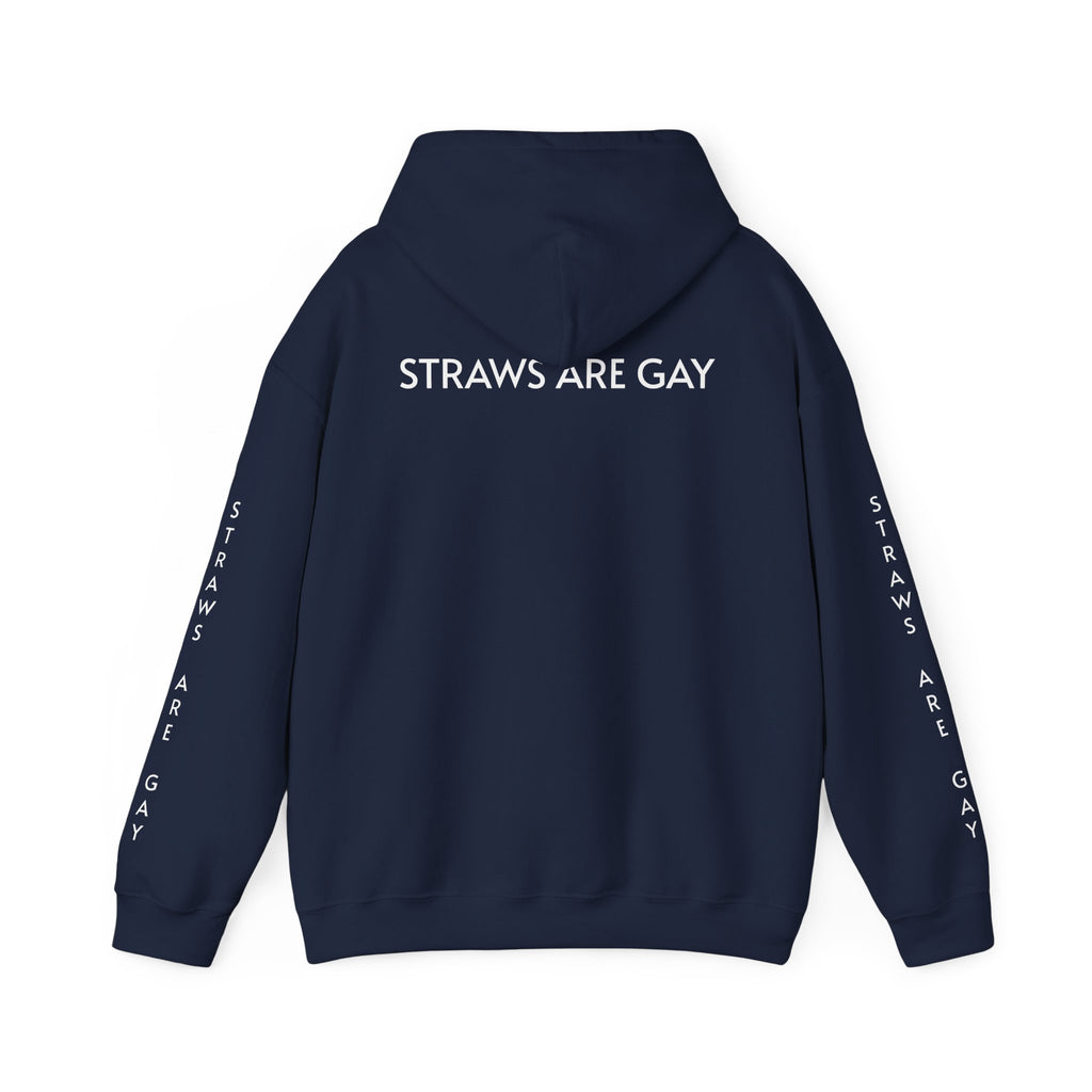 'Straws Are Gay' Hoodie —Statement Pullover