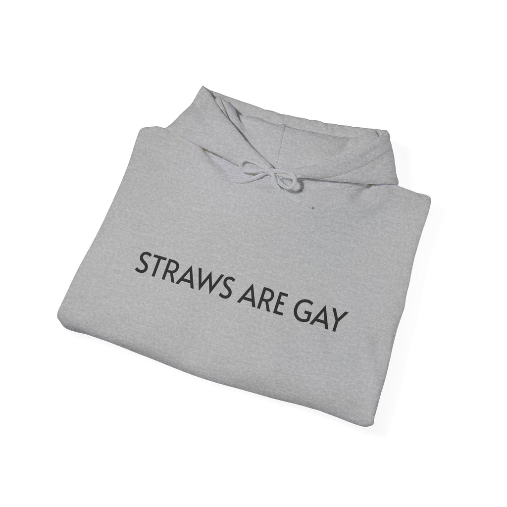 'Straws Are Gay' Hoodie —Statement Pullover