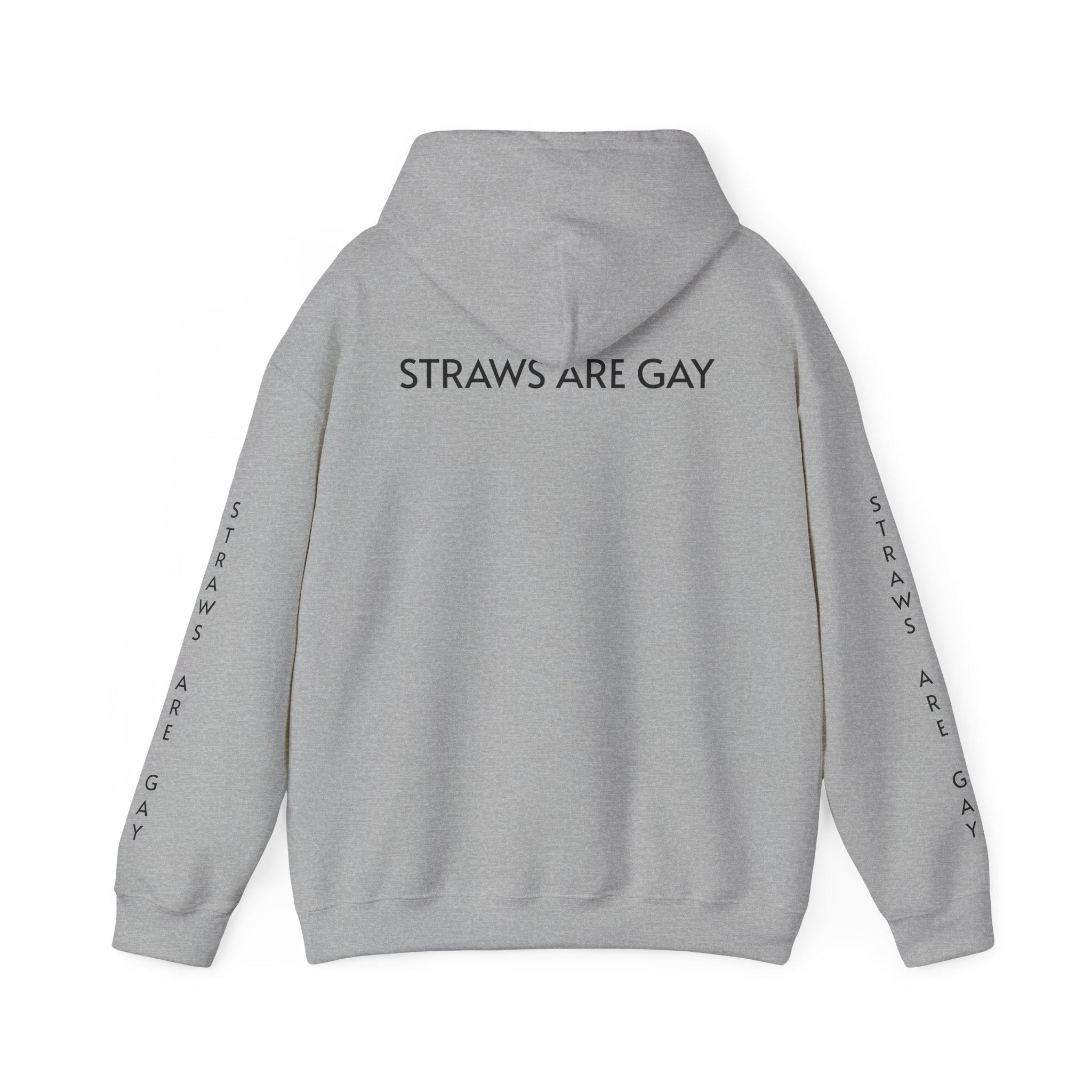 'Straws Are Gay' Hoodie —Statement Pullover