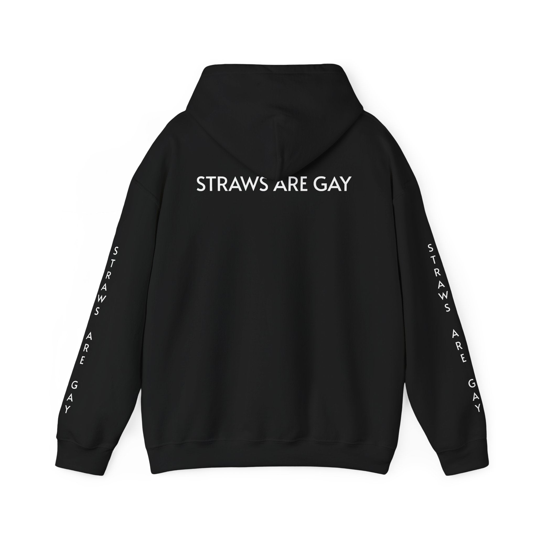 'Straws Are Gay' Hoodie —Statement Pullover