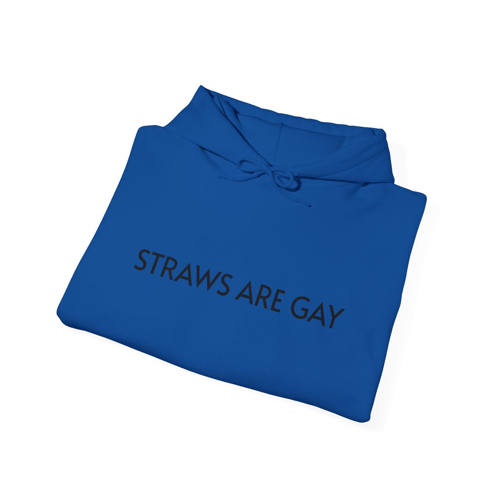 'Straws Are Gay' Hoodie —Statement Pullover
