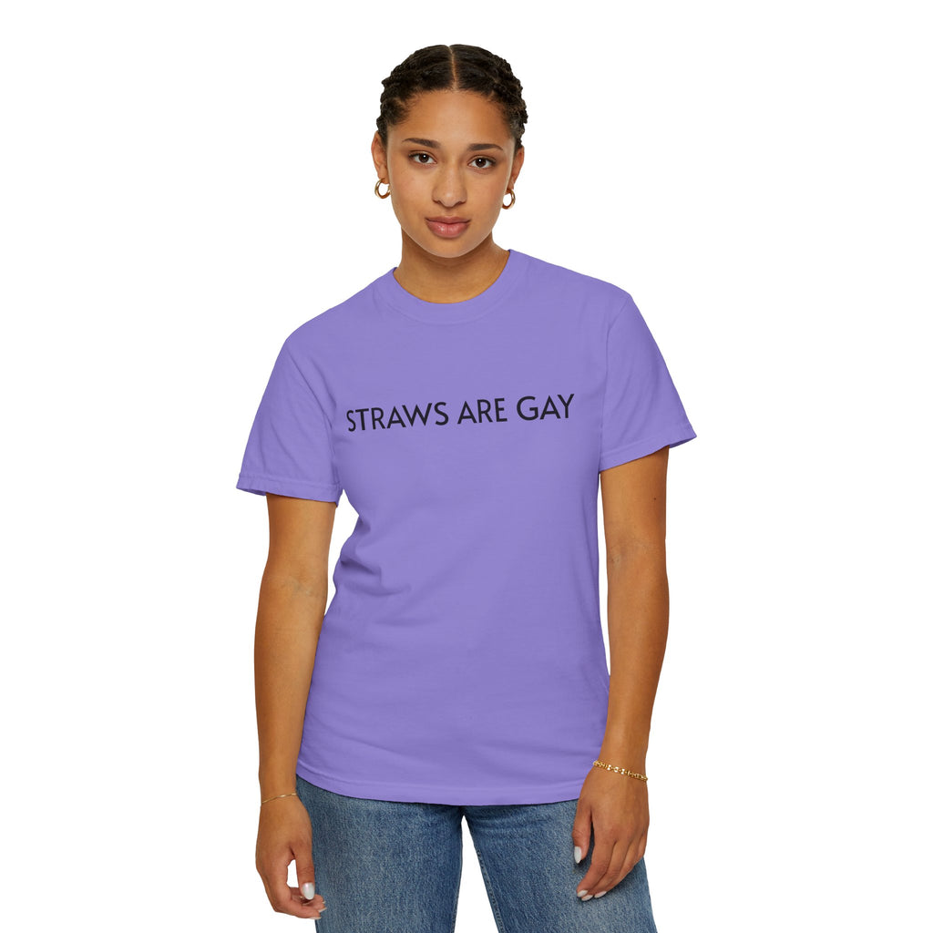 Straws Are Gay T-shirt