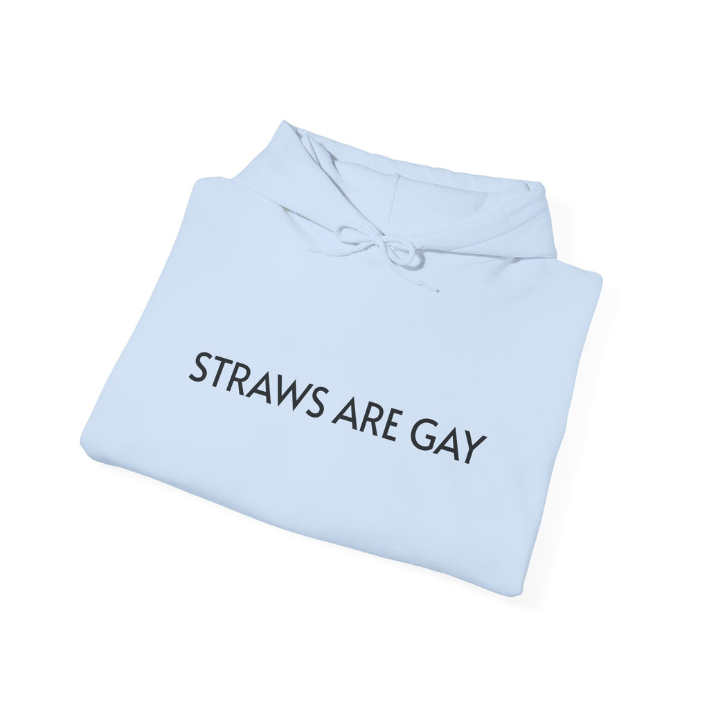 'Straws Are Gay' Hoodie —Statement Pullover